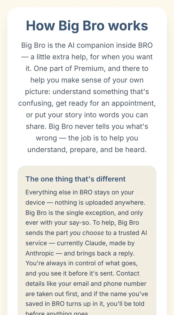 How Big Bro works: the AI companion inside BRO, there to help you understand, prepare, and be heard. Big Bro never tells you what's wrong.